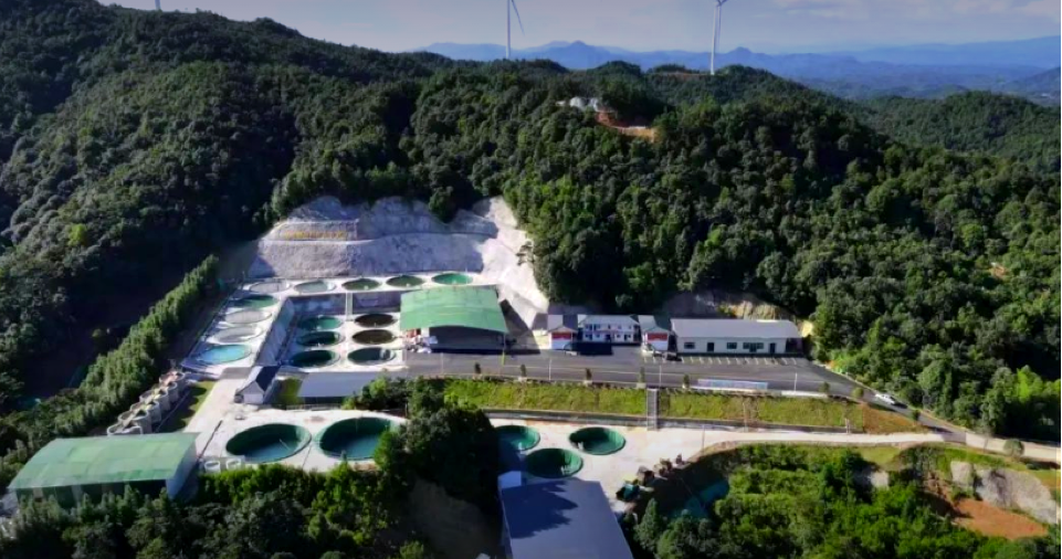 6t����(6TSPORTS)�����Źɷݹ�˾